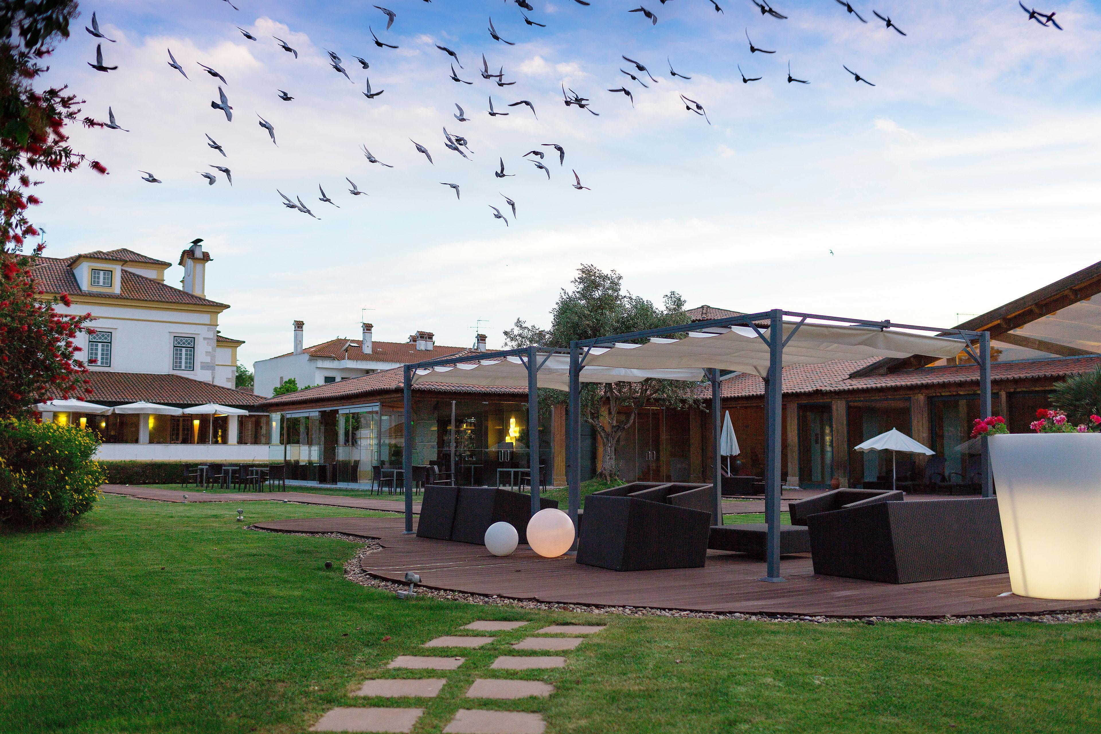 Hotel Lusitano ゴレガン エクステリア 写真